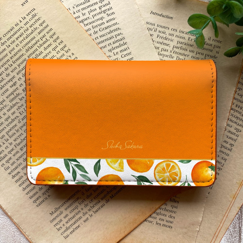 ブラッドオレンジの名刺ケース 花 オレンジ みかん フルーツカード