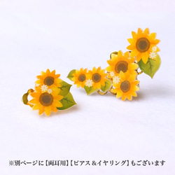 夏のひまわりのピアス＆イヤリング 4枚目の画像