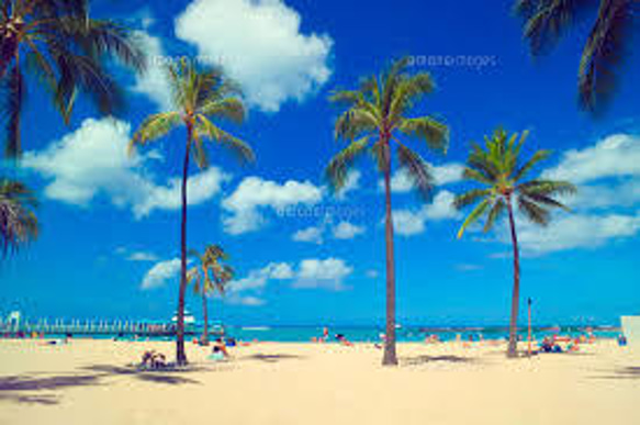 ハワイアン♥ビーチアクセ♥天然石ソーダライトブレスレット 4枚目の画像