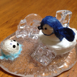 ペンギンとごまちゃん こんにちは❄️ 1枚目の画像