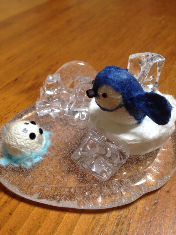 ペンギンとごまちゃん こんにちは❄️ 1枚目の画像