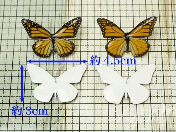 オオカバマダラ♀ 蝶の標本ピアス（片耳）[PS-P002-01F] 3枚目の画像