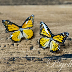 オオカバマダラ 蝶の標本ピアス（ペア）[PS-P002-03P] 1枚目の画像