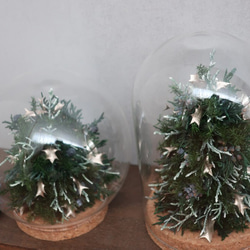 《ご予約受付中》ガラスの中のクリスマスツリー☆ 2枚目の画像
