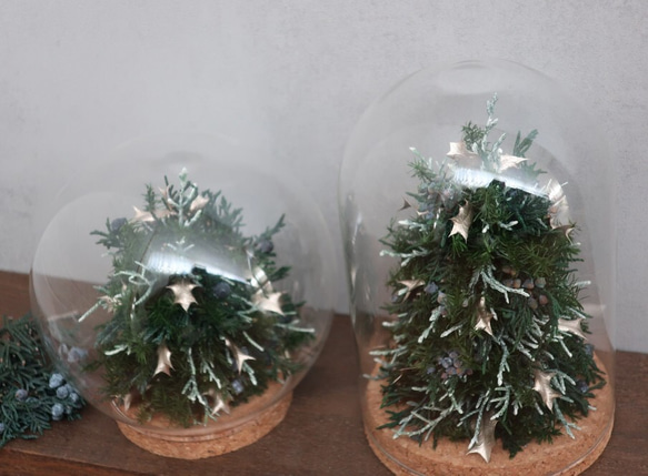 《ご予約受付中》ガラスの中のクリスマスツリー☆ 2枚目の画像
