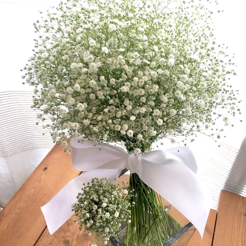 再販】まんまる♫かすみ草のクラッチブーケ&ブートニア(生花