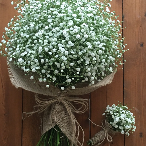 再販】まんまる♫かすみ草のクラッチブーケ&ブートニア(生花 再販】まんまる♫かすみ草のクラッチブーケ&ブートニア(生花
