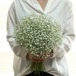 再販】まんまる♫かすみ草のクラッチブーケ&ブートニア(生花) ブーケ