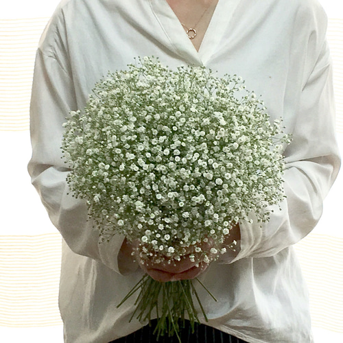 再販】まんまる♫かすみ草のクラッチブーケ&ブートニア(生花 再販】まんまる♫かすみ草のクラッチブーケ&ブートニア(生花