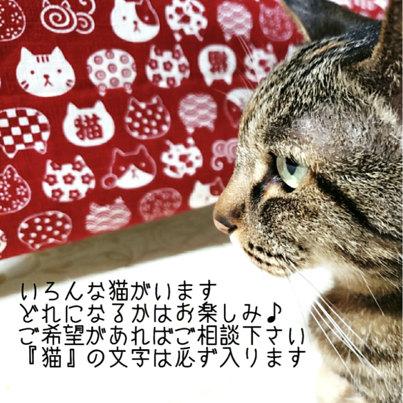 【再販】深赤＊猫の誇りの丸襟   猫・犬用 3枚目の画像