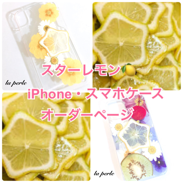 <送料無料> ラスト1＊オーダー＊スターレモンの押し花・押しフルーツiPhone/スマホケース 1枚目の画像