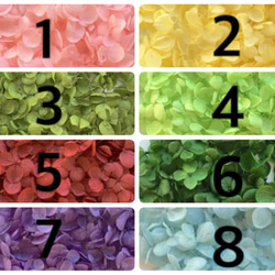 16色から選べる紫陽花のハーバリウム箸置き1set 2枚目の画像