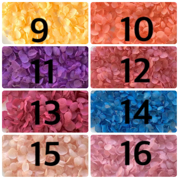 16色から選べる紫陽花のハーバリウム箸置き1set 3枚目の画像