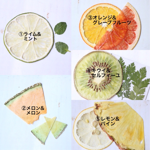 ハーバリウム：選べるフレッシュフルーツの試験管 ハーバリウム・植物