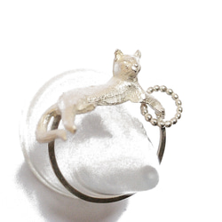 hula hooping silver cat ring 1枚目の画像