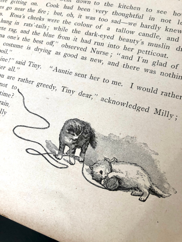 英国で出会った♪ アンティーク プリント 1891年 アーネスト・二スター 絵本の一頁 猫とロバとうさぎ 2枚目の画像