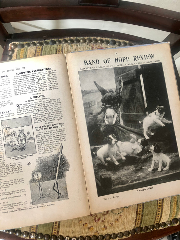 英国で出会った♪ 布張りのアンティークの本 1907年出版「The Band of Hope」エドワーディアン 6枚目の画像