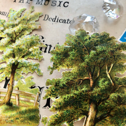 英国で出会った♪ アンティーク ヴィクリアンクロモス 2枚セット　樹木2種 4枚目の画像