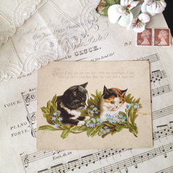 英国アンティーク　子猫とワスレナグサのクロモス　カード　ヴィクトリアン 1枚目の画像