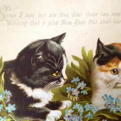 英国アンティーク　子猫とワスレナグサのクロモス　カード　ヴィクトリアン 4枚目の画像