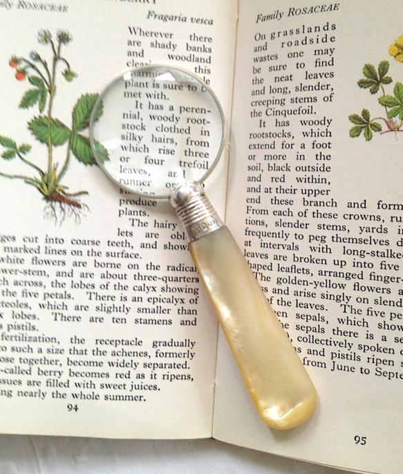 お値下げ　I 英国製ビンテージ　サービング用　シルバーとマザーオブパール 英国で出会った♪アンティーク 1911年製マザーオブパールとシルバーの