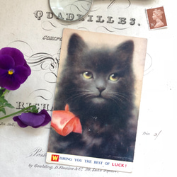英国買い付け♪ヴィンテージ 黒猫のポストカード 未使用 1枚目の画像