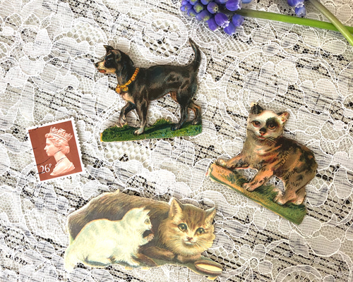 英国アンティーク ヴィクトリアン 猫と犬のクロモス 3枚セット カード