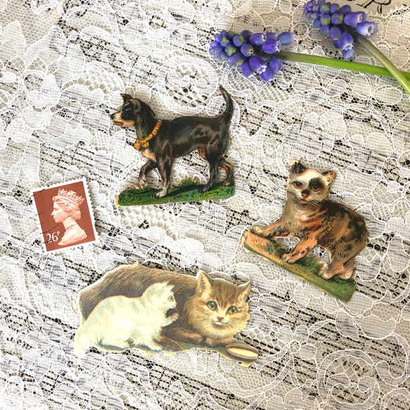 英国アンティーク ヴィクトリアン 猫と犬のクロモス 3枚セット カード