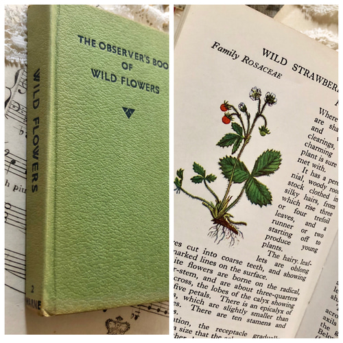 【お気に入り】 英国で出会った♪1960年代小さな植物図鑑「WILD FLOWERS 洋書