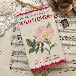 英国で出会った♪1960年代小さな植物図鑑「WILD FLOWERS
