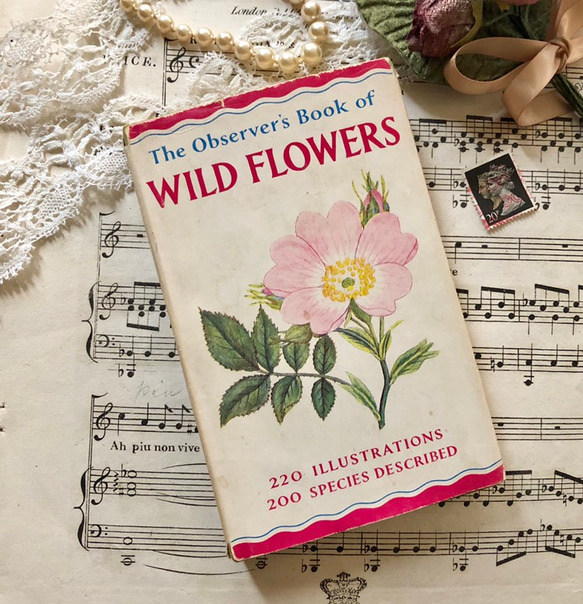 イギリスの古い植物図鑑　1960年代 英国で出会った♪1960年代小さな植物図鑑「WILD FLOWERS