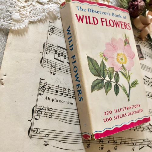 洋書 ボタニカルアート 60年代 アンティーク ビンテージ 植物図鑑 花イラスト 洋書 ❃ 美しいボタニカルアートが中心の植物図鑑 古書 1963年