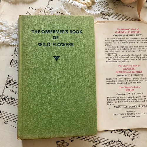 イギリスの古い植物図鑑 1960年代