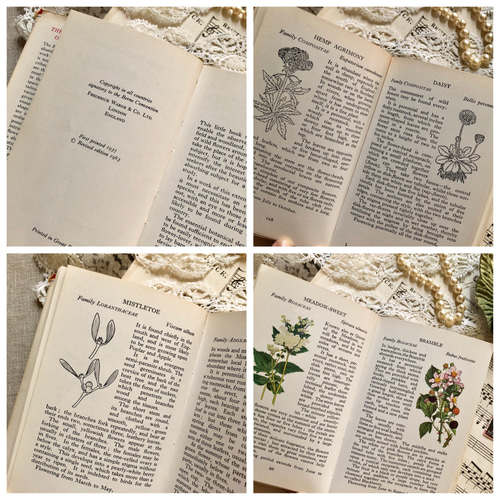 イギリスの古い植物図鑑 1960年代
