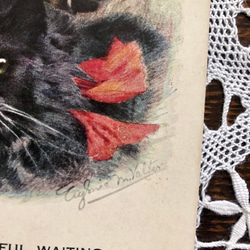 英国で出会った♪ アンティーク 1900年代初め頃　ジャックラッセルテリアと黒猫のポストカード 5枚目の画像
