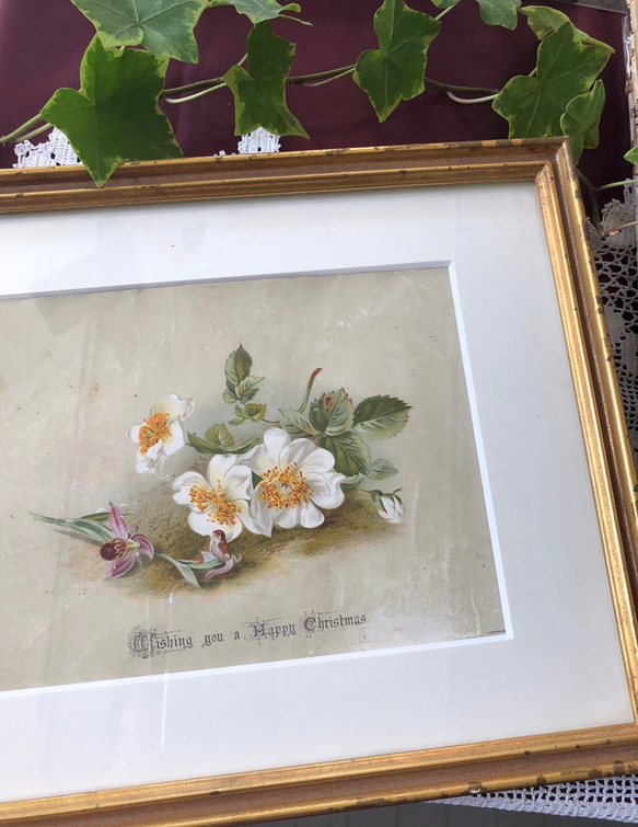 紙タグ～イングリッシュローズとエンボス～