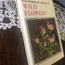 英国で出会った♪1973年 小さな植物図鑑「WILD FLOWERS」ヴィンテージ 220種のボタニカルアート 2枚目の画像