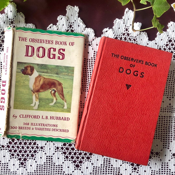 英国で出会った♪ヴィンテージ 1950年代頃 300種 犬の小さな図鑑 Frederick Warne社 2枚目の画像