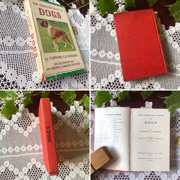 英国で出会った♪ヴィンテージ 1950年代頃 300種 犬の小さな図鑑 Frederick Warne社 4枚目の画像