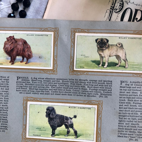 ❤️ popo 610②希少イギリスのイヌシガレットカード　12枚セット イギリス シガレットカード ガラス額 犬 グリーン