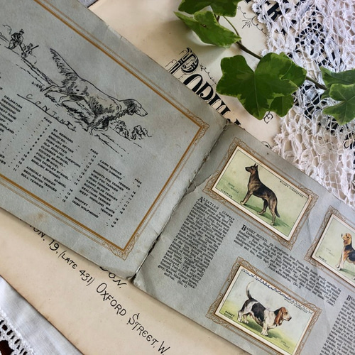 ❤️ popo 610②希少イギリスのイヌシガレットカード　12枚セット ❤️ popo 610②希少イギリスのイヌシガレットカード 12枚セット