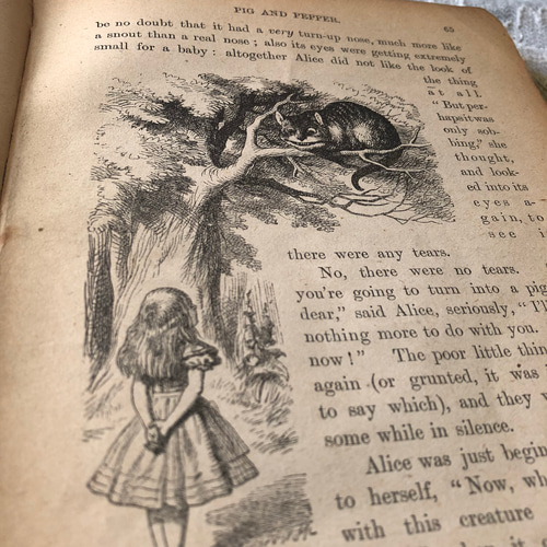 英国で出会った♪1910年版 アンティーク絵本「不思議の国のアリス
