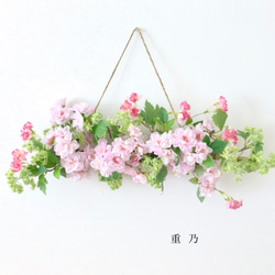 ウォールデコ   桜ふわふわ 1枚目の画像