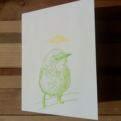 ポストカード 鳥　 1枚目の画像