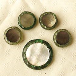 （小）イタリア製　グリーンの貝ボタン　5個セット 1枚目の画像