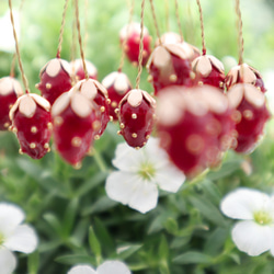 イチゴと花の耳飾り 3枚目の画像