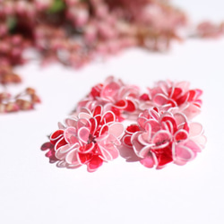 繡球花耳環粉紅色和紅色珊瑚粉紅色 第2張的照片