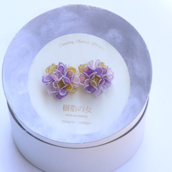 紫陽花の花耳飾り　　紫＆ピンク 5枚目の画像