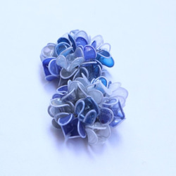 八仙花屬花耳朵裝飾藍色 第1張的照片