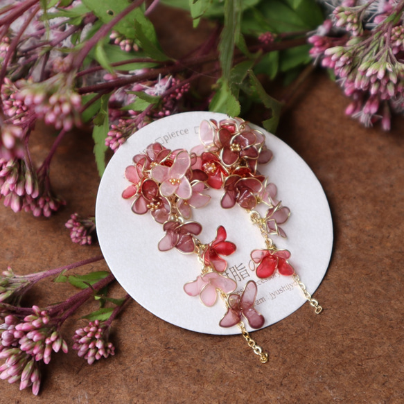 盛開的花朵耳環粉紅色 第1張的照片